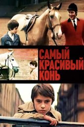 Самый красивый конь (1976) Самый красивый конь (1976)