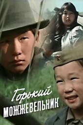 Горький можжевельник [1985, драма, семейный]