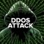 Сайт восстановлен после мощной DDoS атаки.