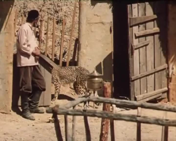 Гепард возвращается. [1985, драма]