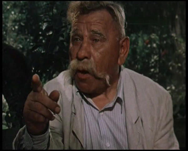 Годы молодые [1958, комедия, мелодрама, музыкальный]