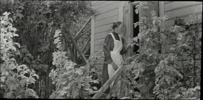 В городе С. [1966, драма]