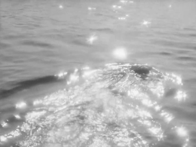 Девочка и эхо (1964)