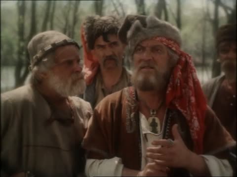 Дикое поле (1991)