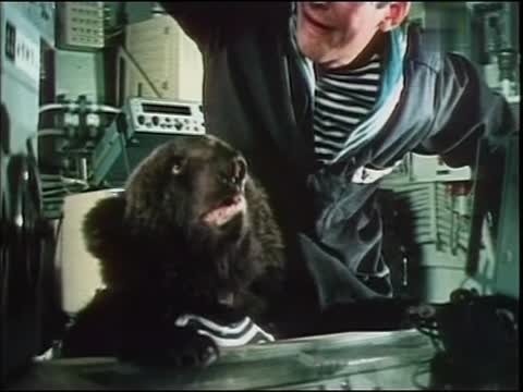 Егорка (1984)