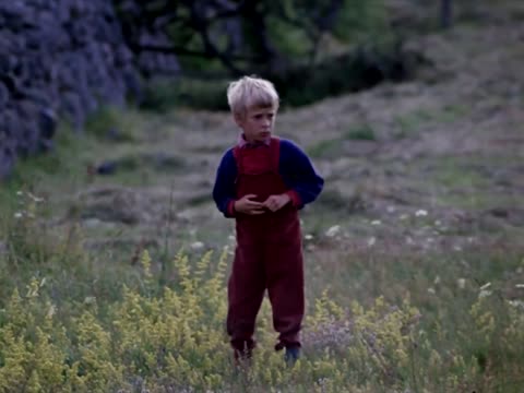 Цветные сны (1974)