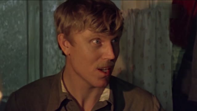 Девочка из города (1984)