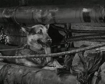 Четыре танкиста и собака. 20 серия "Ворота" [1966-1970, военный]