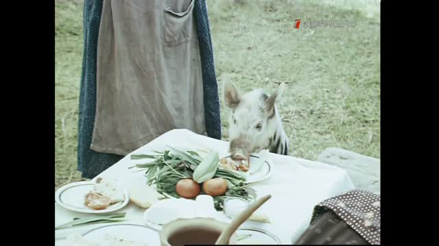 Ретивый поросенок [1979 / Грузия-фильм / комедия / короткометражка remastered]